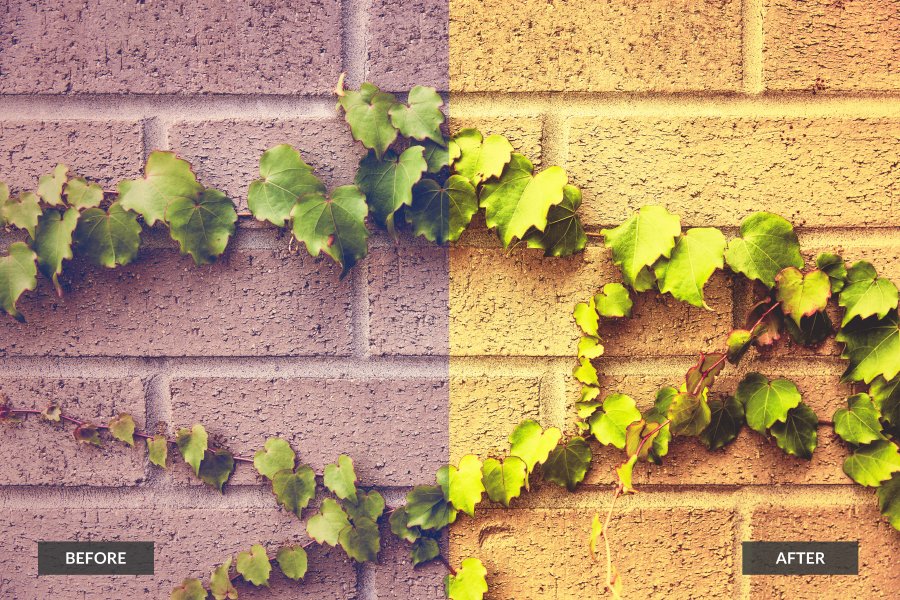 Free 20 Photoshop Actions