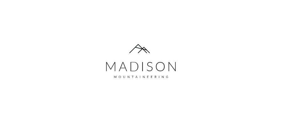 15 Free Minimal Logo in PSD