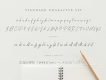 Hamillton Signature Font Demo