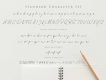 Hamillton Signature Font Demo