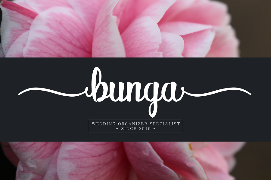Alitta Script Font Demo