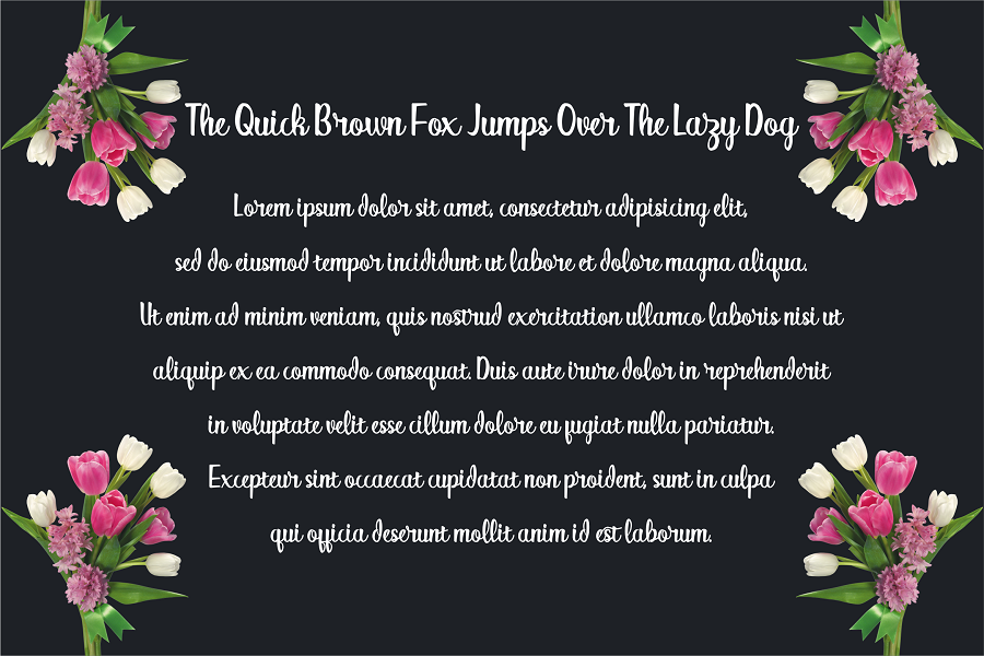Alitta Script Font Demo