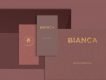 Basic Stationery Mockup Free