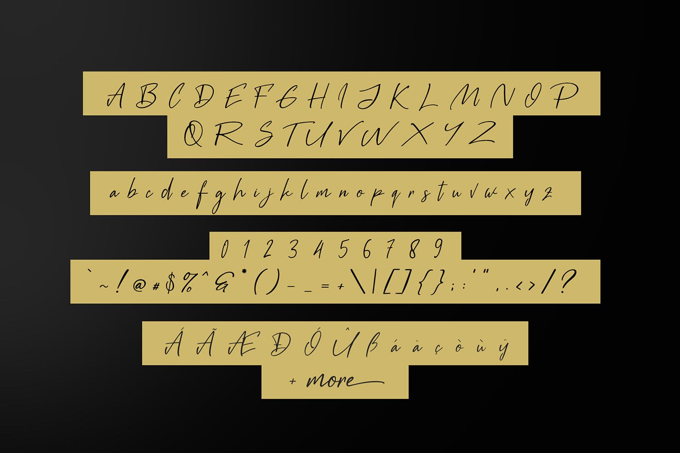 Black Pen Script Free Demo