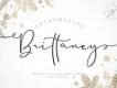 Brittaney Script Free Demo