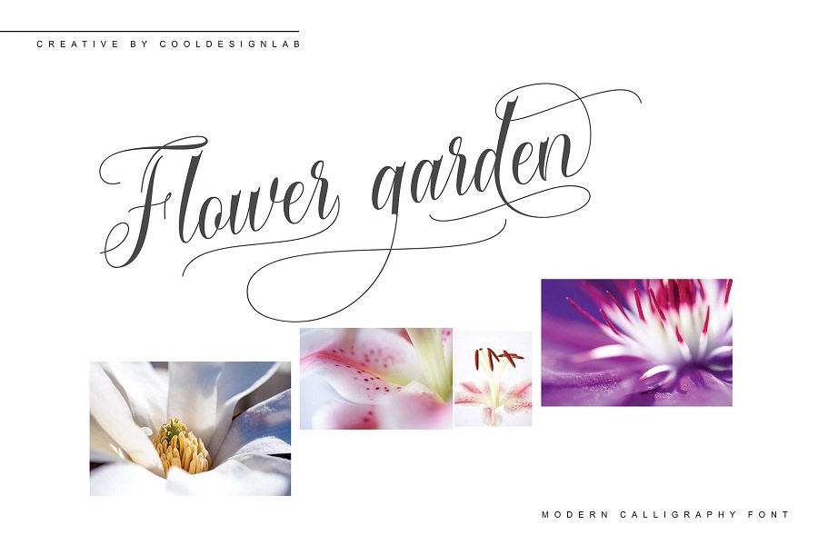 Cataline Script Font Demo