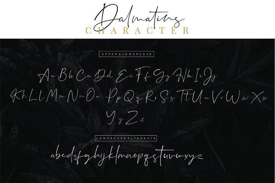 Dalmatins Signature Free Demo