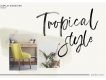 Display Signature Brush Font