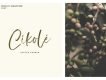 Display Signature Brush Font