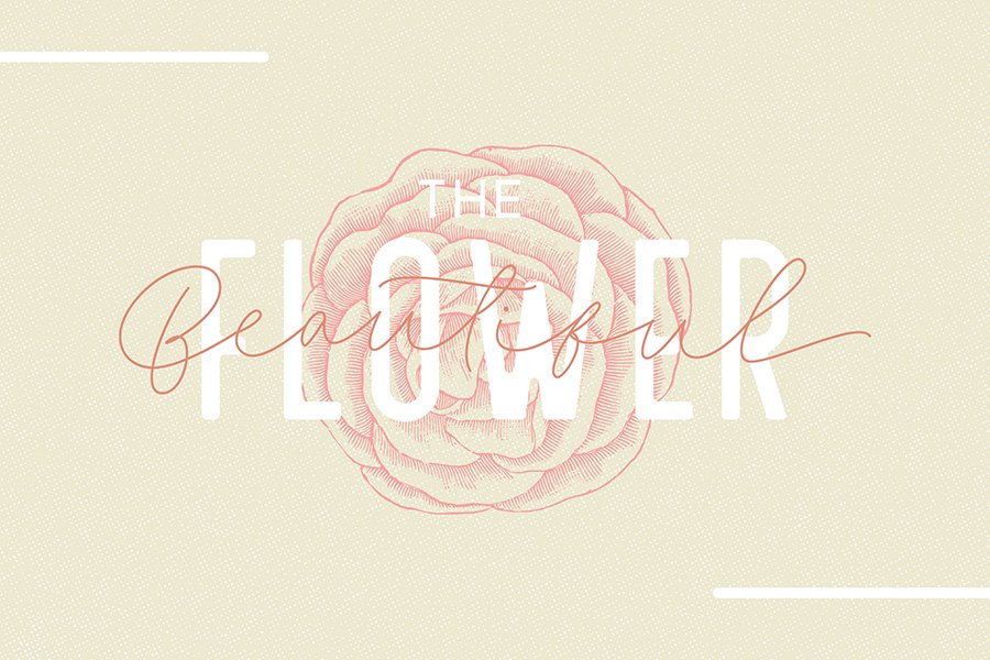 Fillia Script Free Font Demo