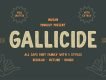 Gallicide Display Font Family