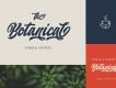 Qintan Script Free Demo