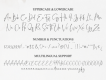 Romantically Script Font Demo