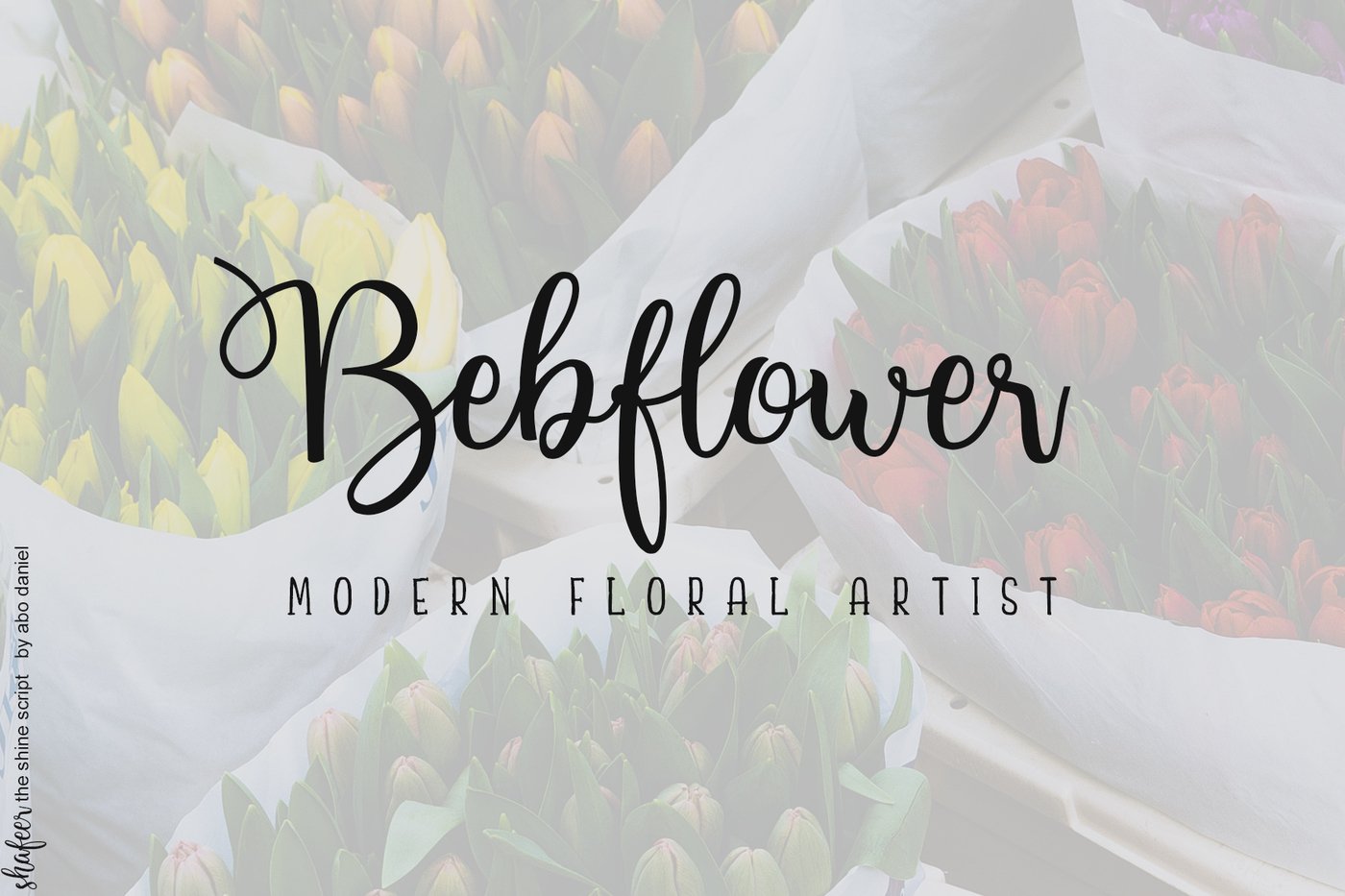 Shafeer Handlettering Font Duo
