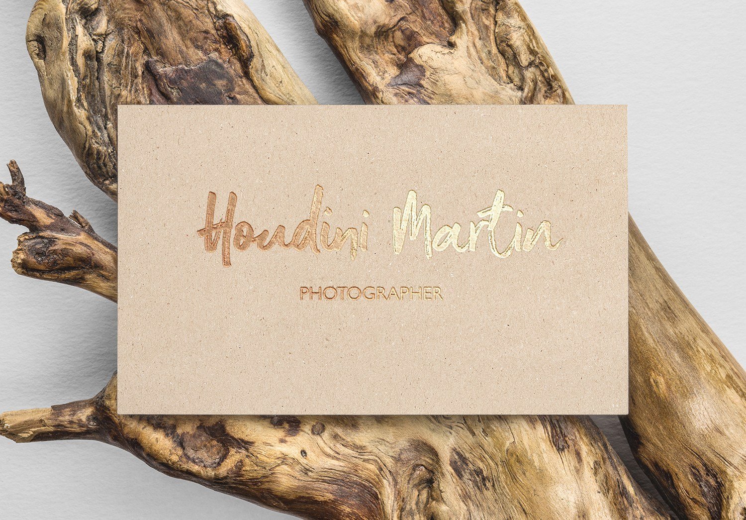 Shelldon Brush Script Font Demo