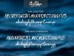 Shelldon Brush Script Font Demo