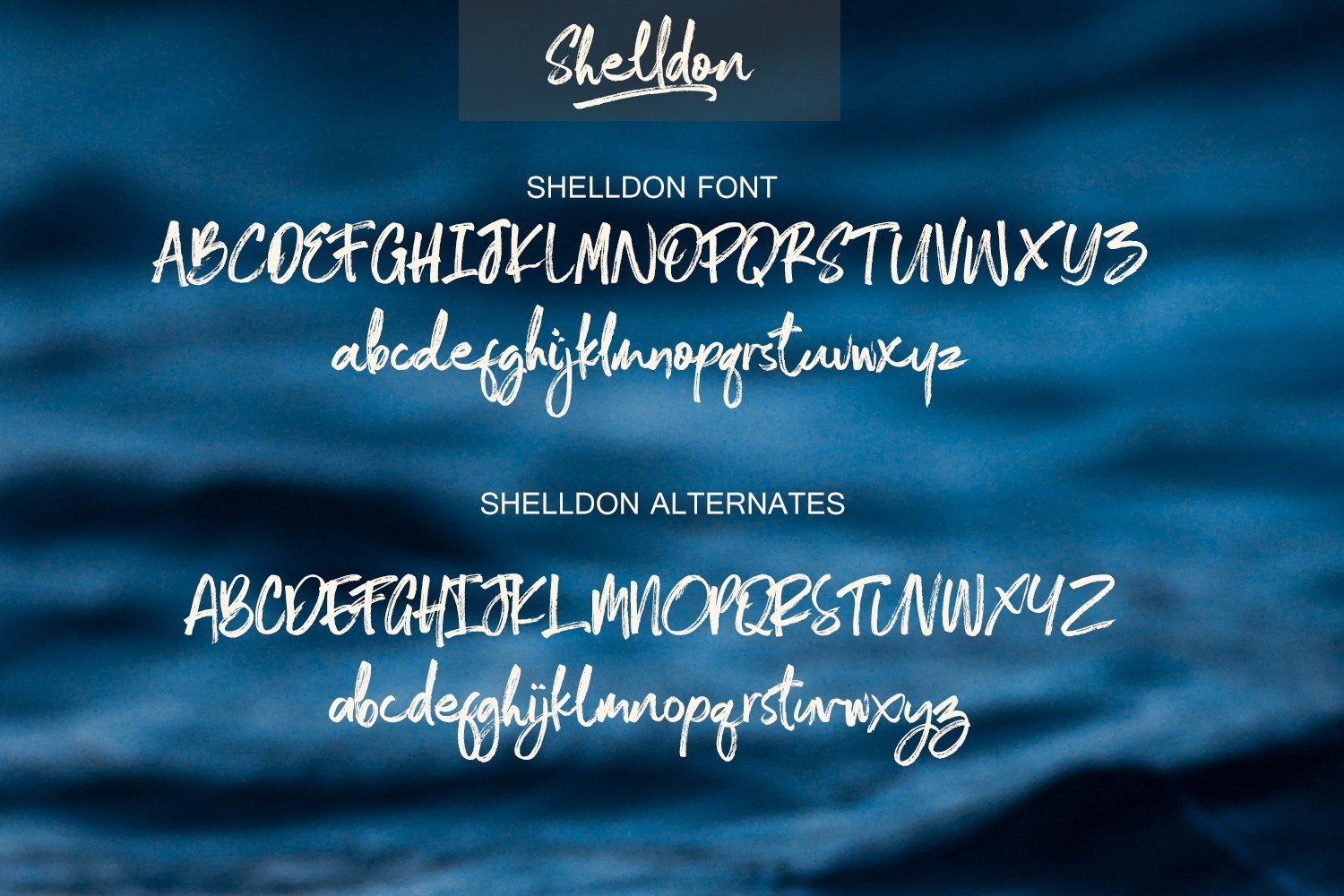 Shelldon Brush Script Font Demo