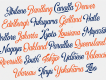 The Crawley Script Demo
