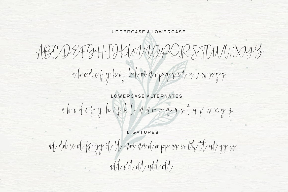 Watercoral Script Free Demo