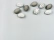 28 Free Easter Stock Photos