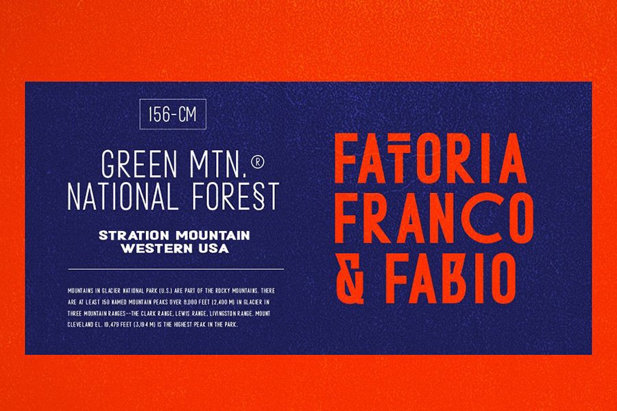 Metafora Sans Font Demo