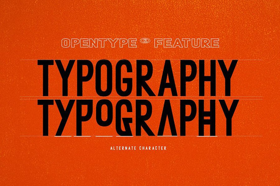 Metafora Sans Font Demo