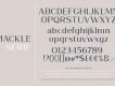 Mackle Script Font Demo