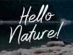Whitelist Script Free Demo