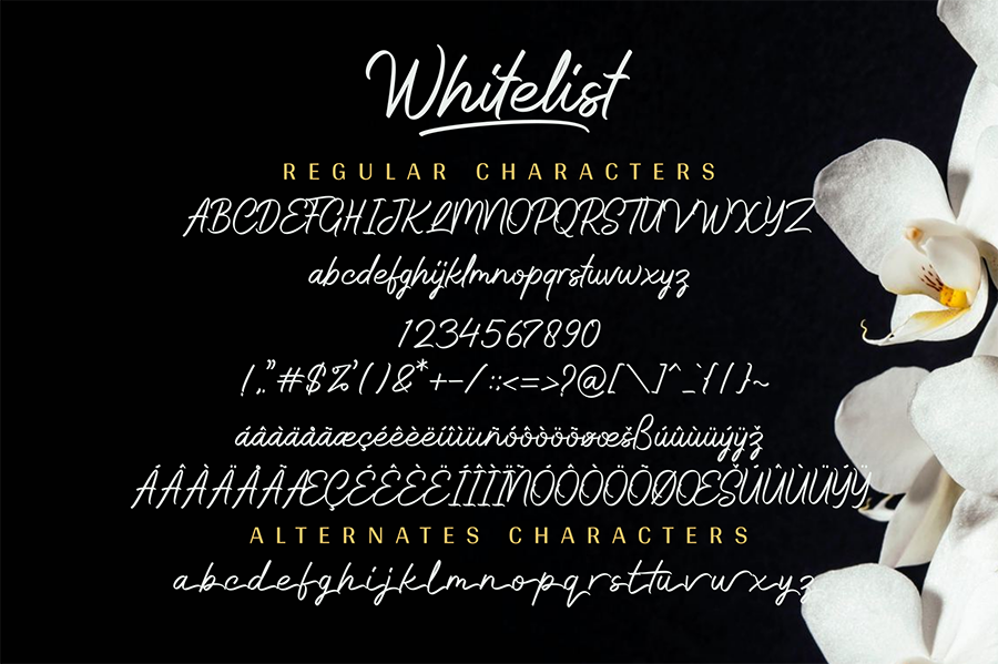 Whitelist Script Free Demo