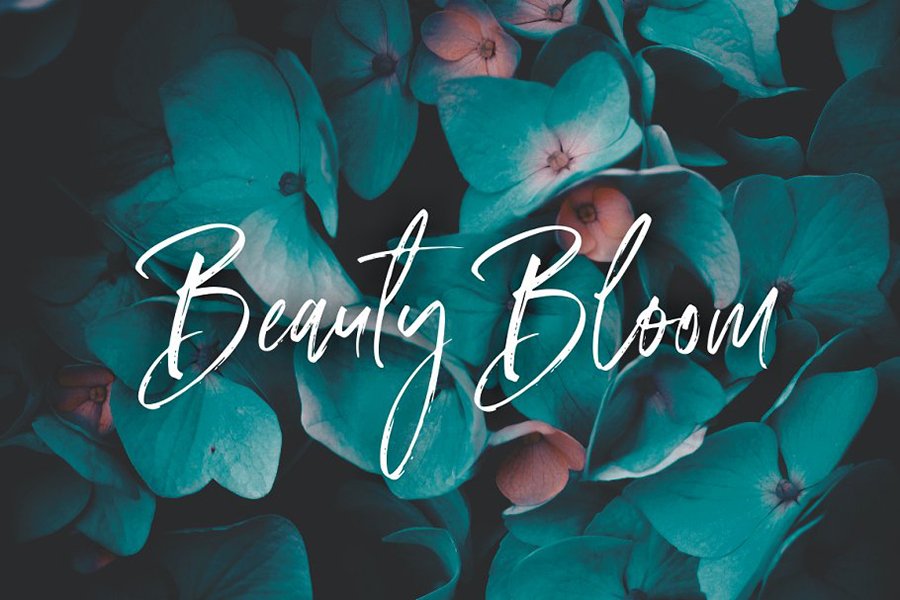 Amourist Handlettering Script