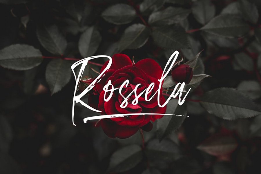 Amourist Handlettering Script