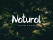 Autumn Free Display Font