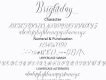 Brightday Script Free Demo