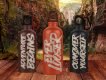 Ever Looser Wild Brush Font