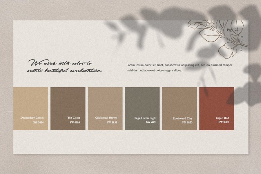 Dromadary Presentation Template