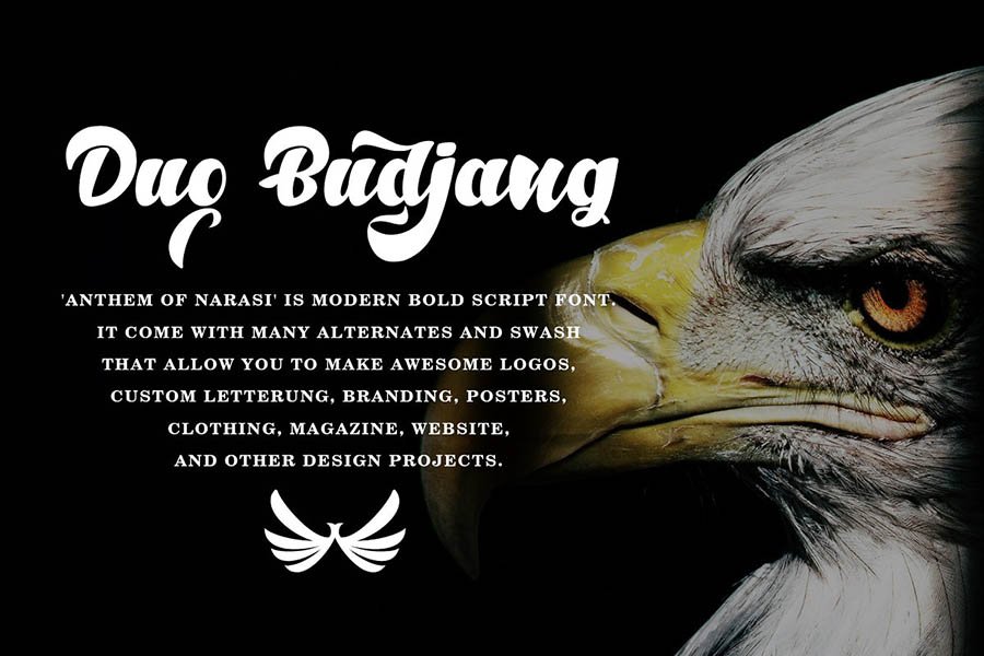 Anthem of Narasi Font Demo