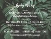 Baby Wildy Handbrush Font