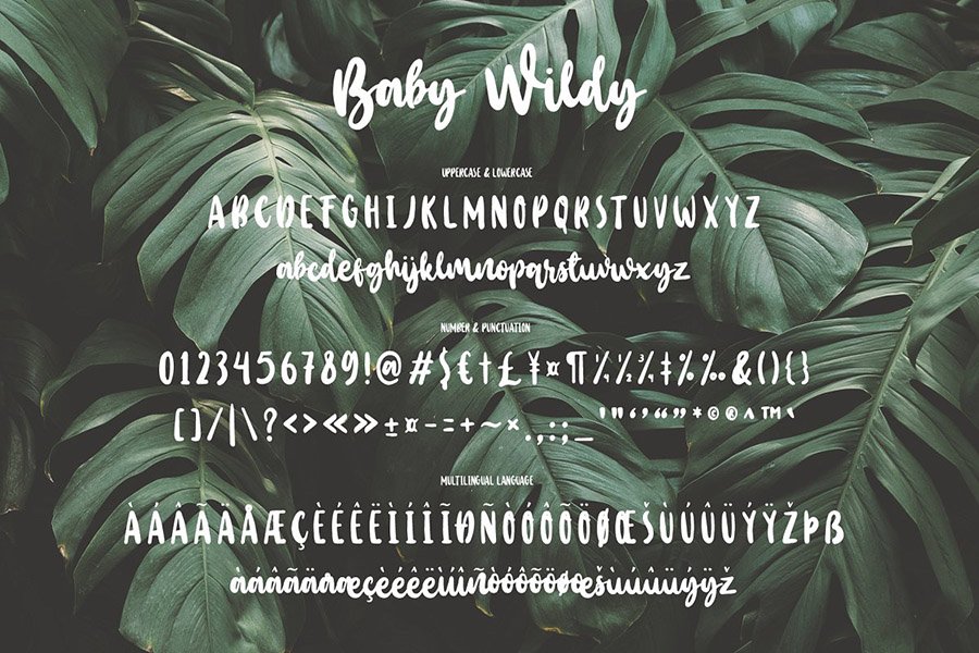 Baby Wildy Handbrush Font