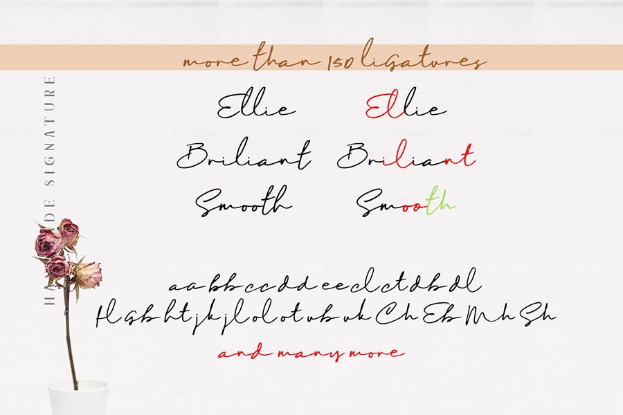 Maddison Signature Script