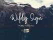 Wildy Sign Signature Font