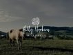 Wildy Sign Signature Font