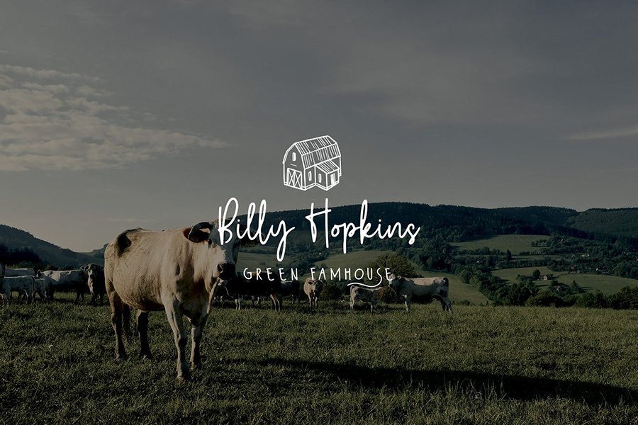 Wildy Sign Signature Font
