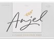 Anjel Signature Script Demo