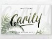 Carily Fresh Modern Script