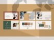 Carnation Presentation Template