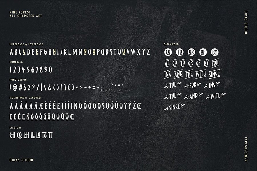 Pine Forest Outdoor Typeface