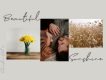 Sophia Bella Signature Font