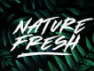 Made By Bears Display Font