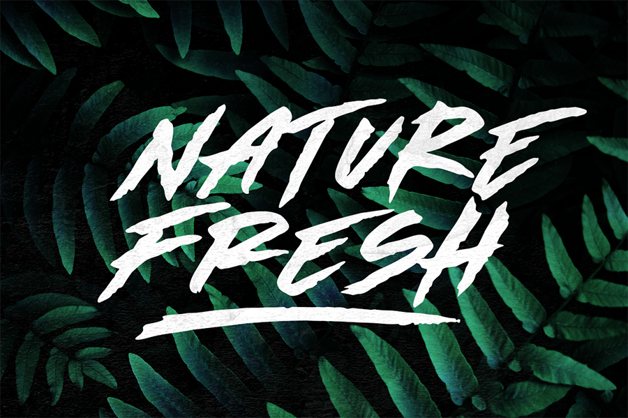Made By Bears Display Font