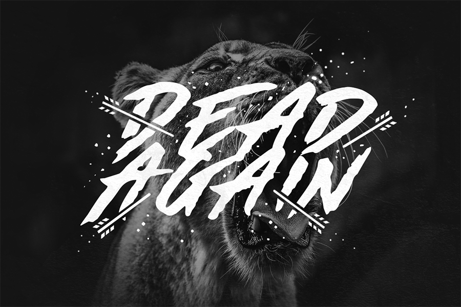Made By Bears Display Font